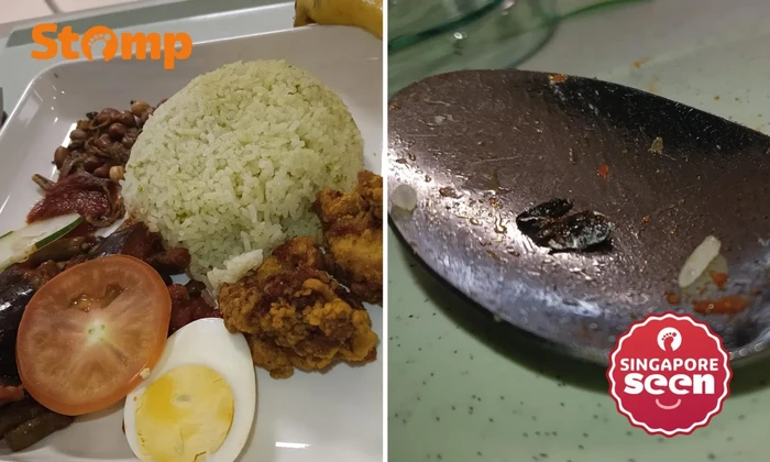 Pasien Heboh Temukan Kecoak di Nasi Lemak, Rumah Sakit Beri Klarifikasi
