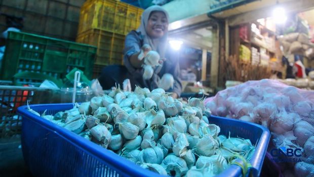Pekerja mengupas bawang putih di Pasar Induk Kramat Jati, Jakarta, Kamis (16/7/2026). Badan Pusat Statistik (BPS) mencatat Indonesia masih sangat bergantung pada China untuk memenuhi kebutuhan impor bawang putih. Pekerja mengupas bawang putih di Pasar Induk Kramat Jati, Jakarta, Kamis (16/7/2026). Badan Pusat Statistik (BPS) mencatat Indonesia masih sangat bergantung pada China untuk memenuhi kebutuhan impor bawang putih. (CNBC Indonesia/Faisal Rahman)