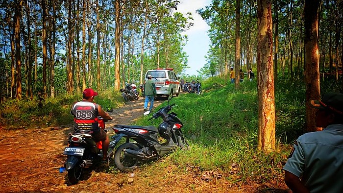 Penemuan wanita tinggal kerangka di hutan Jati Sukabumi