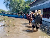 Potret Perjuangan Guru di Pesisir Sidoarjo Saat Banjir Rob