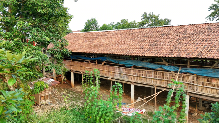 Peternakan Ayam di Ciputat, Tangerang Selatan.