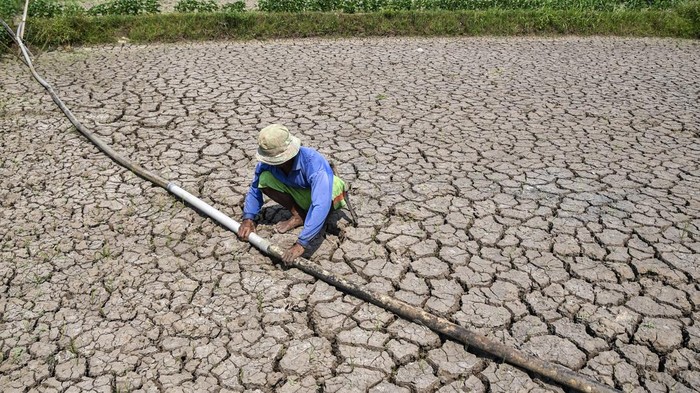 Petani memperlihatkan kondisi sawah irigasi anak Sungai Cimulu yang mengering di Kampung Ciwasmandi, Kelurahan Sukajaya, Kecamatan Purbaratu, Kota Tasikmalaya, Jawa Barat, Kamis (16/7/2026). BMKG Jawa Barat memprediksi sebagian besar wilayah di Jabar mengalami musim kemarau lebih kering dibandingkan kondisi klimatologis normal pada 2026, dengan puncak kemarau diperkirakan terjadi pada Agustus dan mencakup sekitar 90 persen wilayah. ANTARA FOTO/Adeng Bustomi/nz