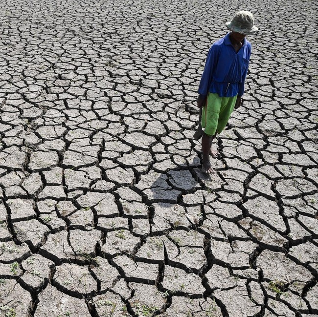 Sawah di Tasikmalaya Mengering Imbas Kemarau