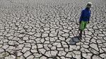 Sawah di Tasikmalaya Mengering Imbas Kemarau
