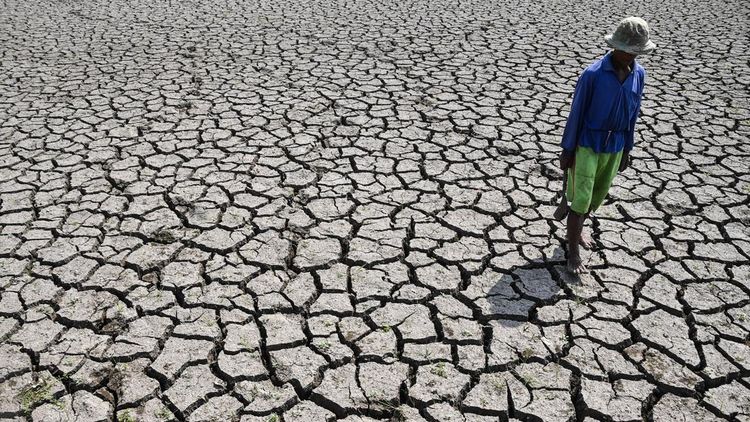 Sawah di Tasikmalaya Mengering Imbas Kemarau