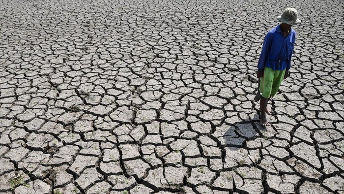 Petani memperlihatkan kondisi sawah irigasi anak Sungai Cimulu yang mengering di Kampung Ciwasmandi, Kelurahan Sukajaya, Kecamatan Purbaratu, Kota Tasikmalaya, Jawa Barat, Kamis (16/7/2026). BMKG Jawa Barat memprediksi sebagian besar wilayah di Jabar mengalami musim kemarau lebih kering dibandingkan kondisi klimatologis normal pada 2026, dengan puncak kemarau diperkirakan terjadi pada Agustus dan mencakup sekitar 90 persen wilayah. ANTARA FOTO/Adeng Bustomi/nz