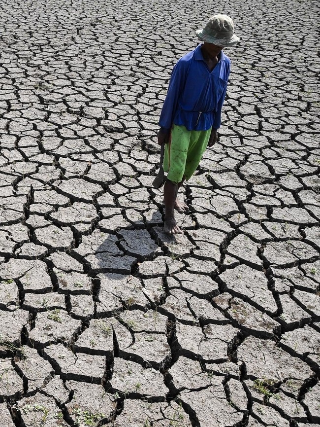 Sawah di Tasikmalaya Mengering Imbas Kemarau
