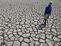 Sawah di Tasikmalaya Mengering Imbas Kemarau