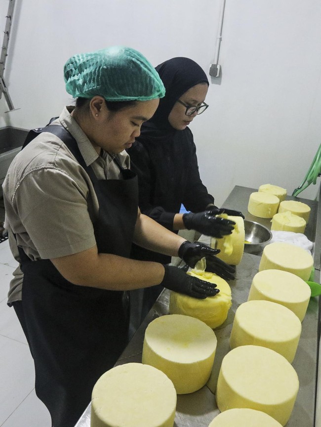 Susu Segar Peternak Lokal Disulap Jadi Keju Artisan di Sleman