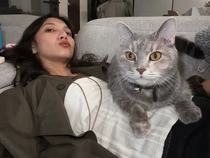 Quality Time Sheila Dara dengan Kucing Kesayangan