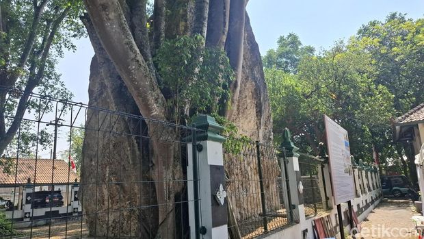 Suasana kawasan Cagar Alam Gunung Gamping jelang Saparan Berkakak di Ambarketawang, Gamping, Sleman, Kamis (16/7/2026). Suasana kawasan Cagar Alam Gunung Gamping jelang Saparan Berkakak di Ambarketawang, Gamping, Sleman, Kamis (16/7/2026).