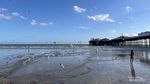 Bertemu Pencuri Bersayap di Pantai Brighton