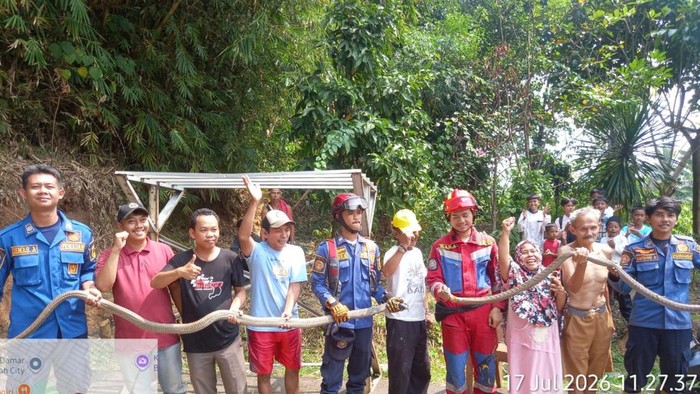 Paniknya Ibu-ibu di Bogor Lihat 2 Ular King Cobra, Minta Bantuan Damkar
