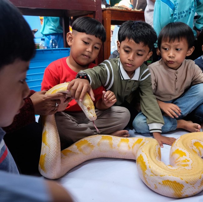Edukasi Reptil Ajak Anak TK Berani dan Peduli Satwa