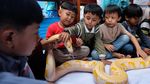 Edukasi Reptil Ajak Anak TK Berani dan Peduli Satwa
