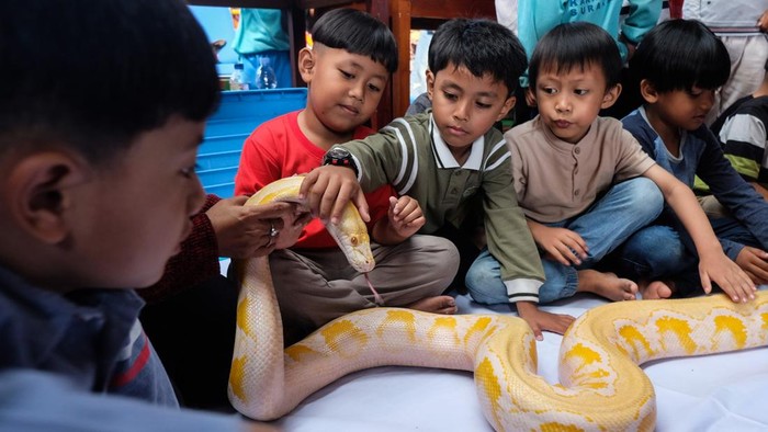 Siswa KB-TK Aisyiyah Program Unggulan belajar mengenal satwa bersama Komunitas Reptil Zona Solo (Krezs) di Karangasem, Solo, Jawa Tengah, Jumat (17/7/2026). KB-TK Aisyiyah Program Unggulan menggelar edukasi satwa untuk menumbuhkan keberanian dan rasa empati siswa terhadap satwa sekaligus membangun kesadaran akan pentingnya menjaga kelestarian ekosistem sejak dini. ANTARA FOTO/Maulana Surya/kye