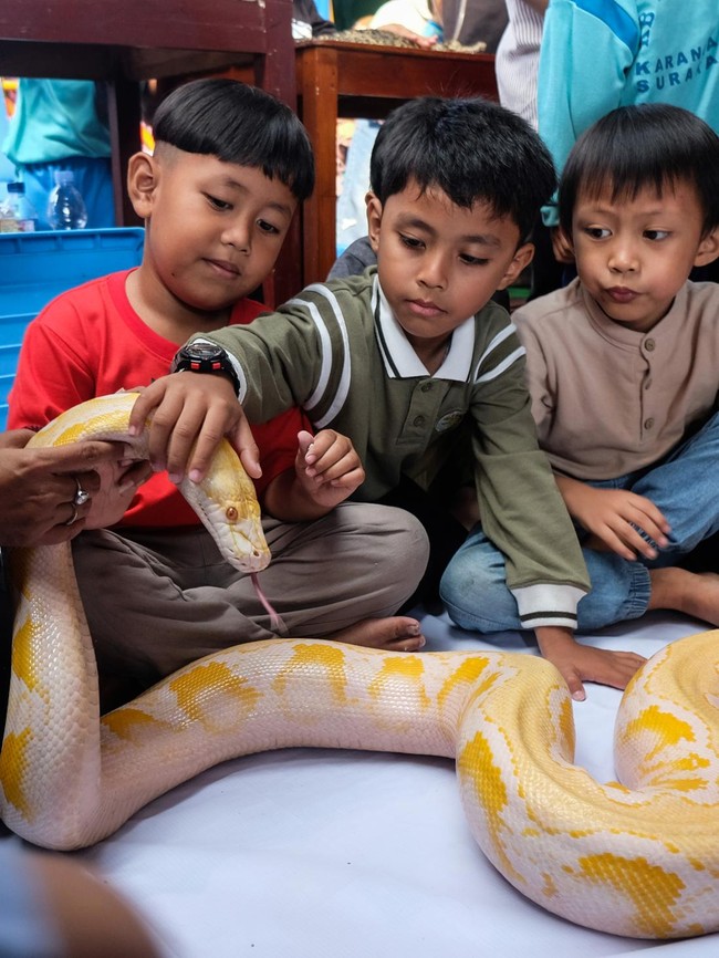 Edukasi Reptil Ajak Anak TK Berani dan Peduli Satwa