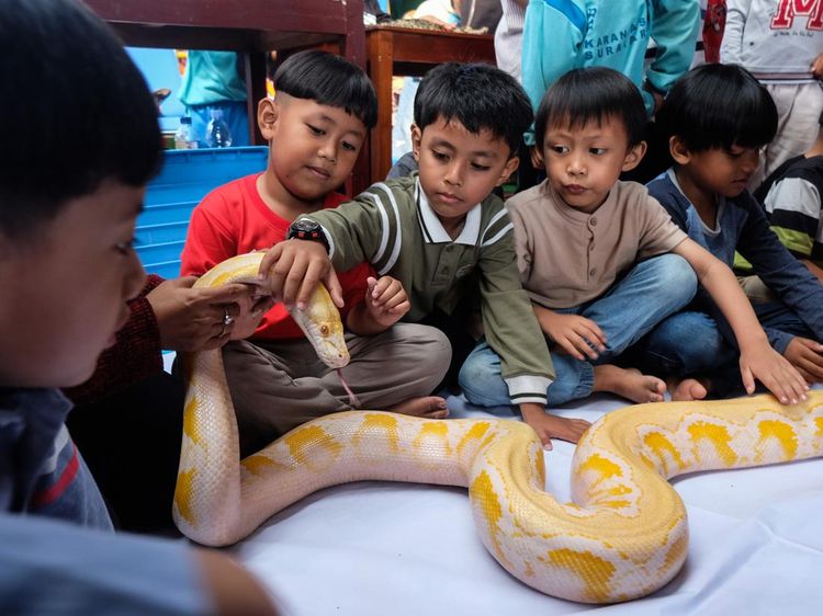 Edukasi Reptil Ajak Anak TK Berani dan Peduli Satwa
