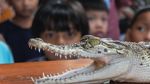 Edukasi Reptil Ajak Anak TK Berani dan Peduli Satwa