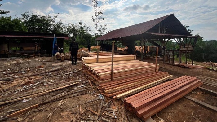 Gudang kayu ilegal di Kampar, Riau.