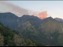 Gunung Biru Masih Terbakar, BPBD Jatim Ungkap Kendala Pemadaman