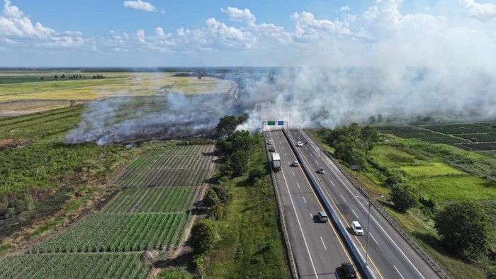 Karhutla di Ogan Ilir yang terjadi di sekitar Tol Palindra.