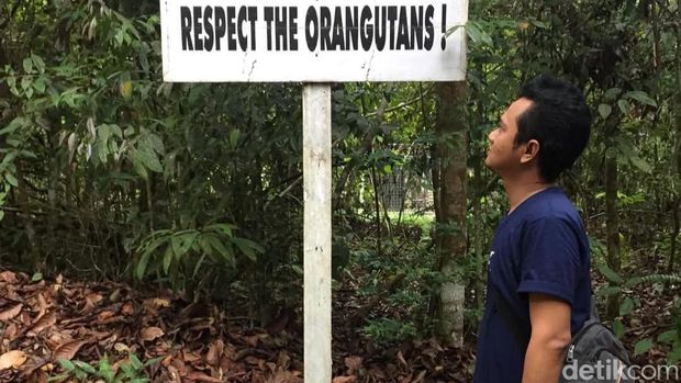 Liburan ke Taman Nasional Tanjung Puting Liburan ke Taman Nasional Tanjung Puting