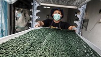Melihat Spirulina Lokal Dikembangkan untuk Suplemen dan Kosmetik