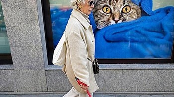 Seorang perempuan mengajak anjingnya berjalan, sementara kucing raksasa dari iklan mengawasi di belakang. Tatapannya seperti tidak senang melihat rivalnya lewat. Foto: Boredpanda