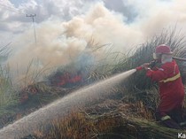 Polisi Tangkap 1 Pelaku Pembakaran Lahan Pribadi di Kalsel