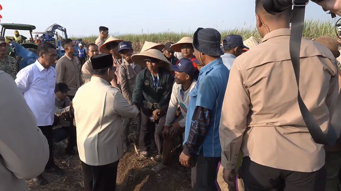 Petani Tebu Berebut Salami Prabowo Saat Panen Raya di Malang