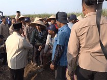 Petani Tebu Berebut Salami Prabowo Saat Panen Raya di Malang