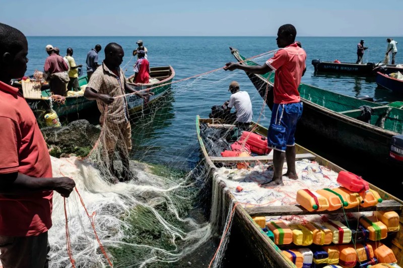 Pulau Migingo, sebuah pulau batu mungil di Danau Victoria yang berada di perbatasan Kenya dan Uganda.