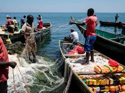 Migingo, Pulau Mini yang Dihuni Ribuan Orang