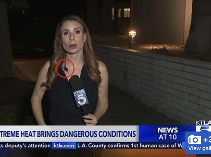 Rachel Menitoff, reporter lapangan stasiun televisi KTLA 5