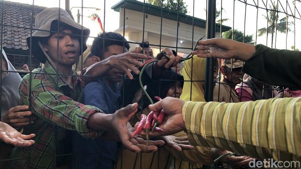 Saparan Bekakak Prosesi puncak Saparan Bekakak di Situs Gunung Gamping, Ambarketawang, Gamping, Sleman, Jumat (17/7/2026).