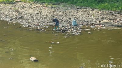 Sungai Bekasi Mengering, Warga Manfaatkan untuk Mencari Ikan