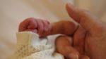 Chelsea Islan Melahirkan Anak Pertama