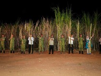 Panen Raya Bareng Presiden, Gubernur Sulsel Apresiasi TNI Dukung Produksi Tebu