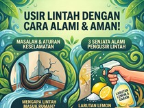 Jangan Diinjak, Begini Cara Mudah Usir Lintah Pakai Bahan yang Ada di Dapur