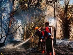 Cerita Relawan Padamkan Karhutla di Kotim Hingga Sesak Napas dan Kelelahan