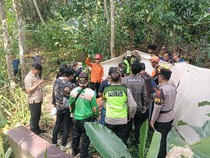 Lansia Purbalingga Ditemukan Tewas di Atas Pohon Kelapa
