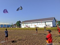 Mengintip Keseruan Lomba Drag Layang-layang di Tulungagung