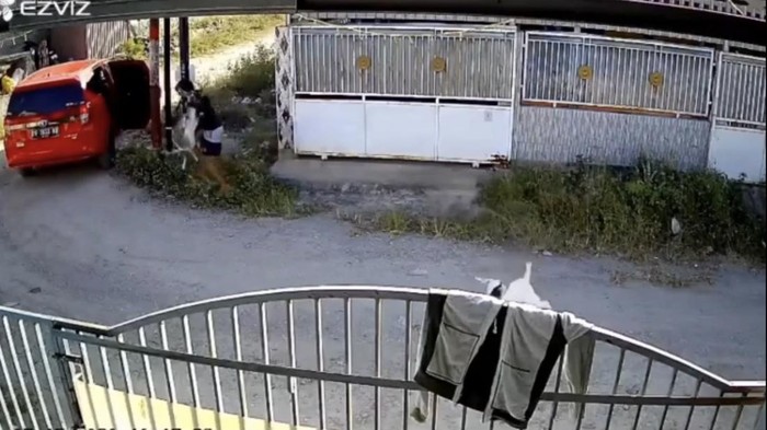 Maling pakai mobil terekam CCTV curi kambing di perumahan Sigi, Sulteng.