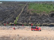 Karhutla di OKI Meluas hingga 20 Hektare Lahan Terbakar, Api Belum Padam