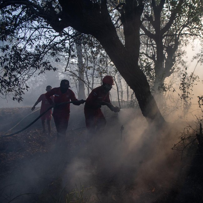 Manggala Agni dan Helikopter BNPB Padamkan Kebakaran Lahan