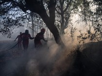 Manggala Agni dan Helikopter BNPB Padamkan Kebakaran Lahan