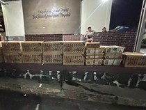 Petugas Gagalkan Penyelundupan 977 Burung Liar Ilegal di Pelabuhan Bakauheni