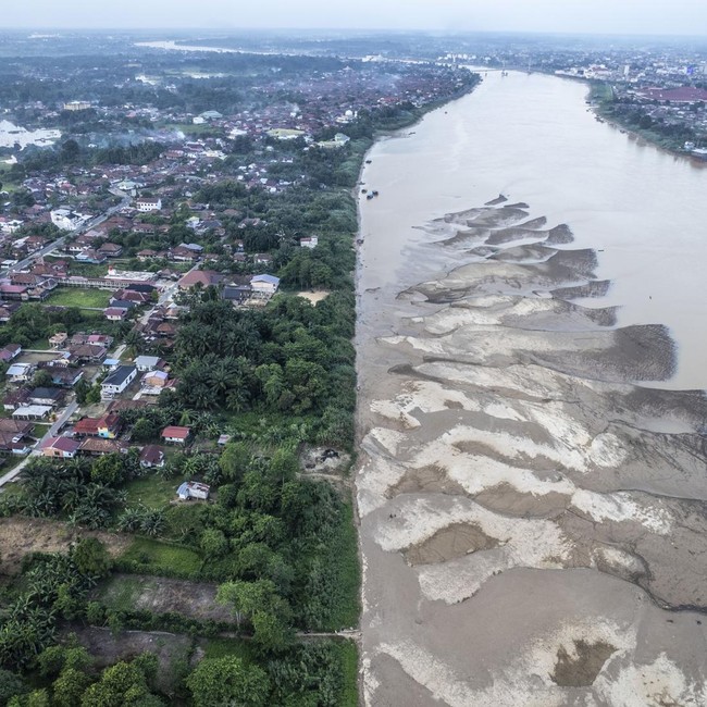 Kemarau Susutkan Debit Sungai Batanghari, Hamparan Pasir Bermunculan