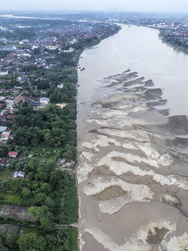 Kemarau Susutkan Debit Sungai Batanghari, Hamparan Pasir Bermunculan